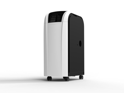 Polyvalent 5,3 kW (18 000 BTU/h) 